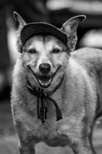 DSC_0361